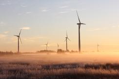 Wind turbines in the distance